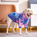 Tie-Dye Dog Hoodie