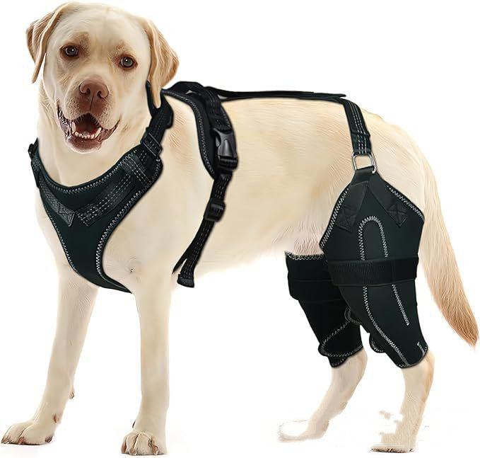Polyester Protective Gear Strap