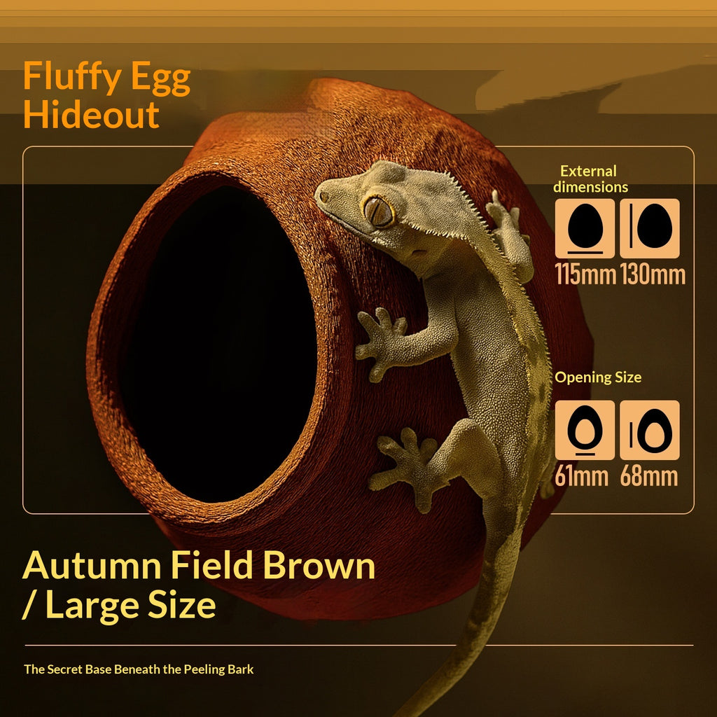 Gecko Arboreal Egg Hiding Nest