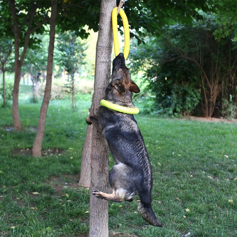 EVA Dog Training Ring Toy