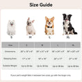 Simple Stylish Machine-Washable All-Season Pet Bed