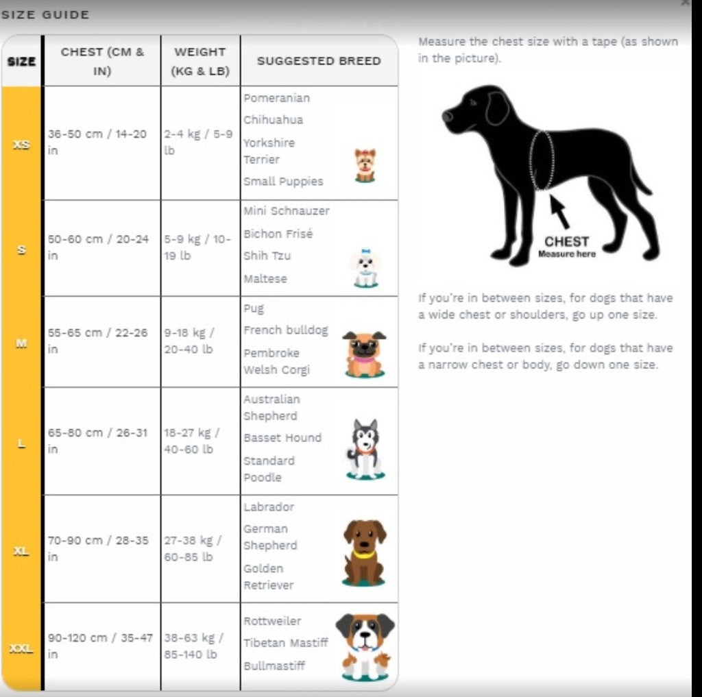 Dog Chest Strap Lead