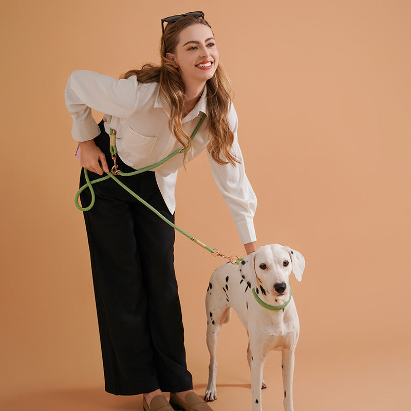 Nylon Small And Medium-Sized Dogs Pet Hand Holding Rope