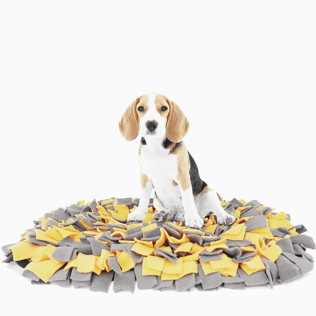Pet Sniffing Mat Anti-Choking, Consuming Energy And Slow Food Puzzle Blanket