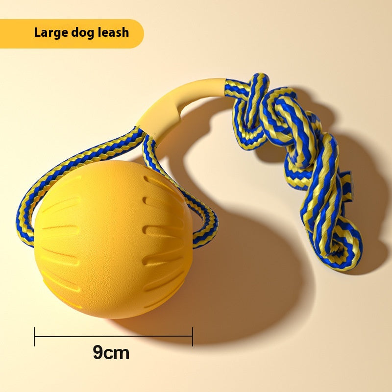 Dogjingdang Dog Training Special Border Collie Supplies