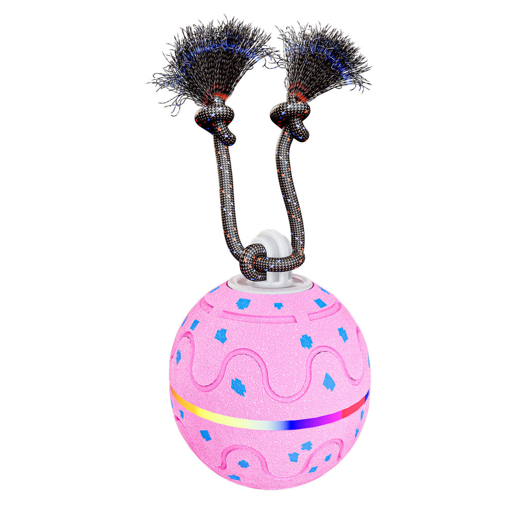 Electric ETPU Toy Ball With Sound, Light, Leash