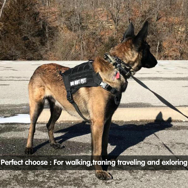 Elastic Dog Training Leash With Two Handles
