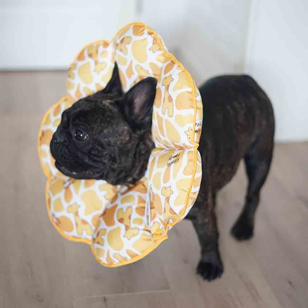 Waterproof Anti Licking And Anti Biting Dog Headgear