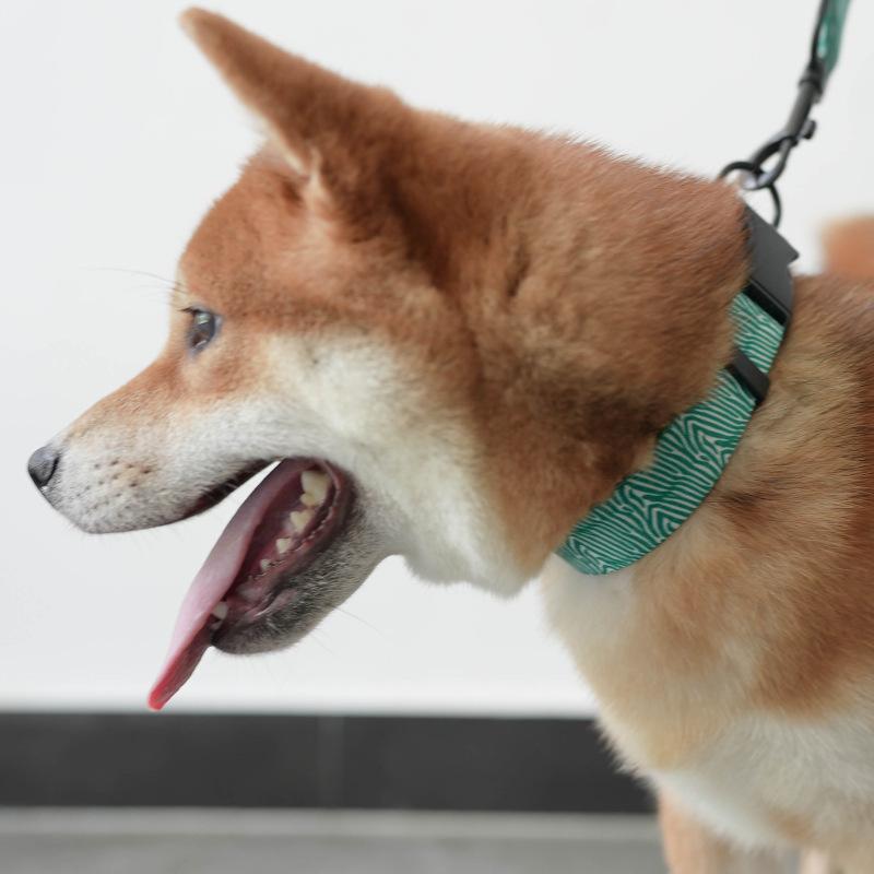 Fashionable Printed Nylon Dog Collar And Leash