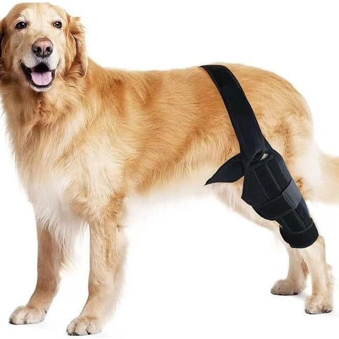 Dog Leg Injury Support Training Belt