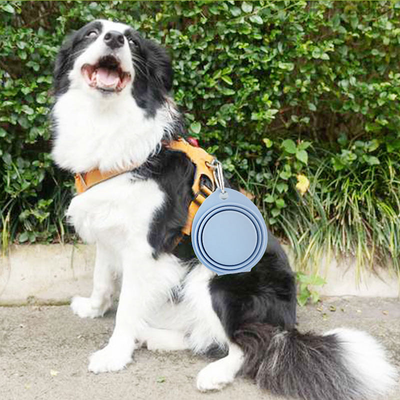 Silicone Foldable Pet Bowl For Feeding