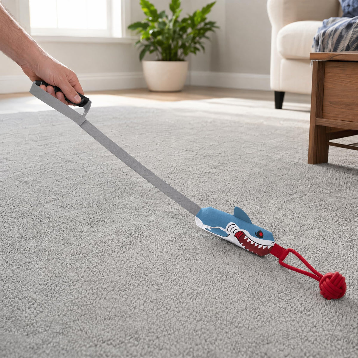 Shark Dog Tug Of War Toy