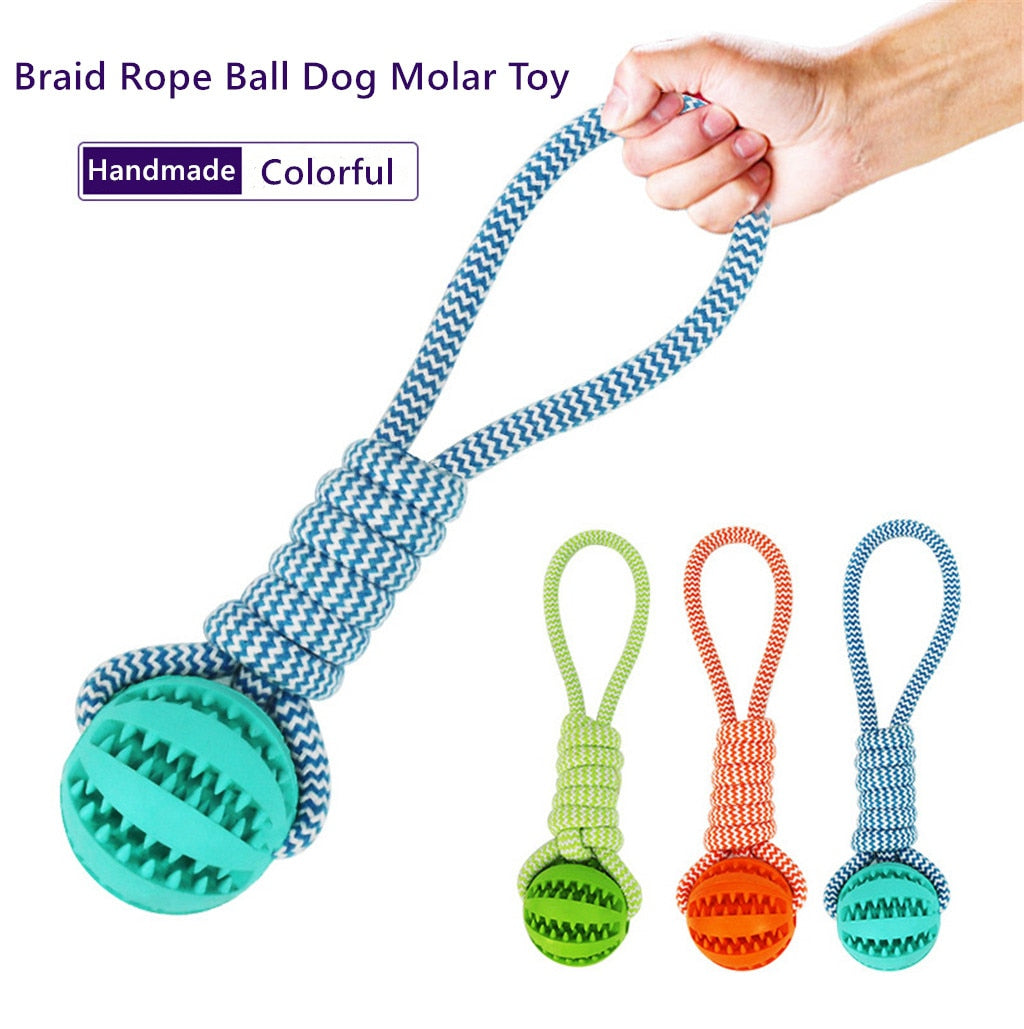 Interactive Rubber Rope Chew Toy Ball