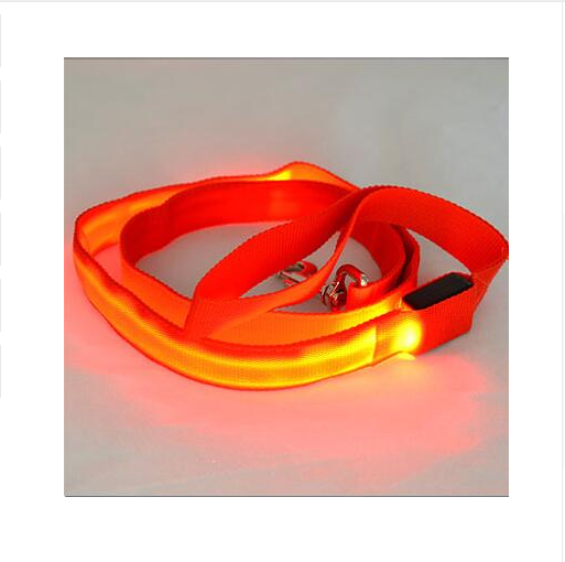 LED Illuminated Nylon Pet Leash
