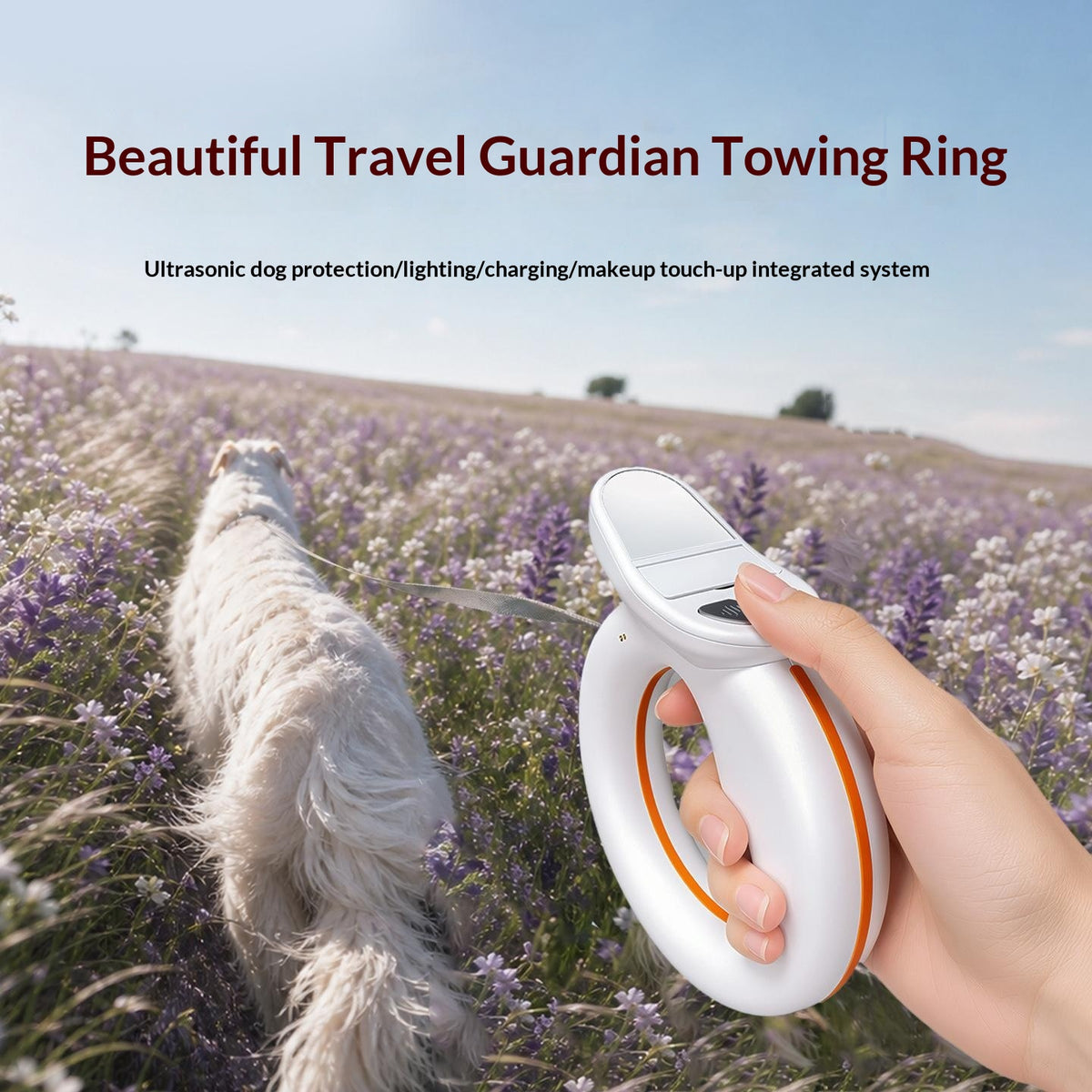Leash With Dog Repeller And Power Bank