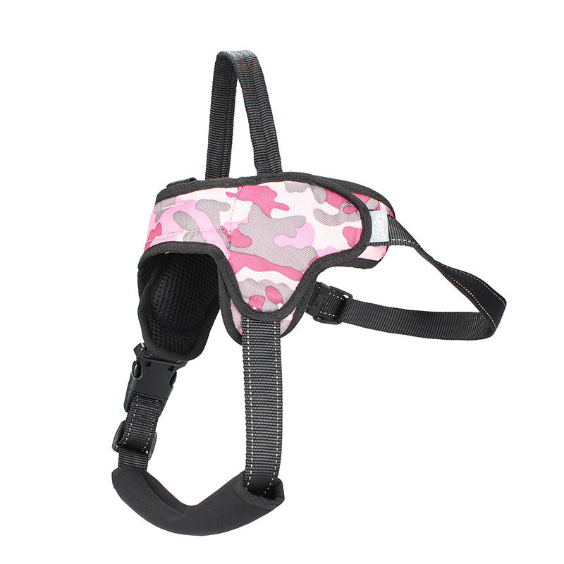 Dog Leash For Medium And Large Dogs