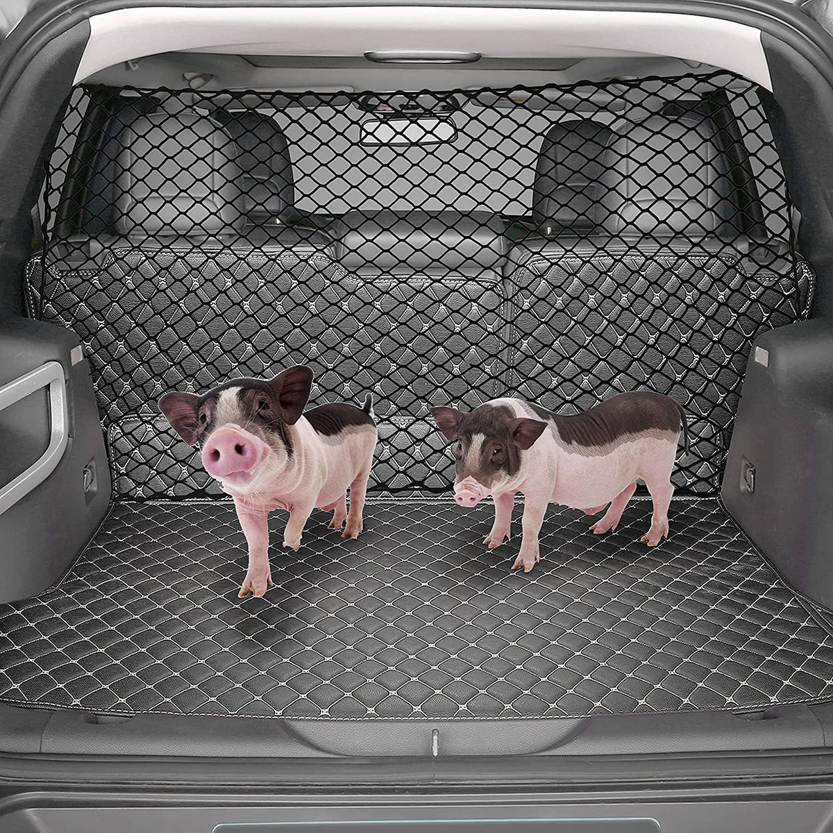Dog Protective Net For Car Isolation