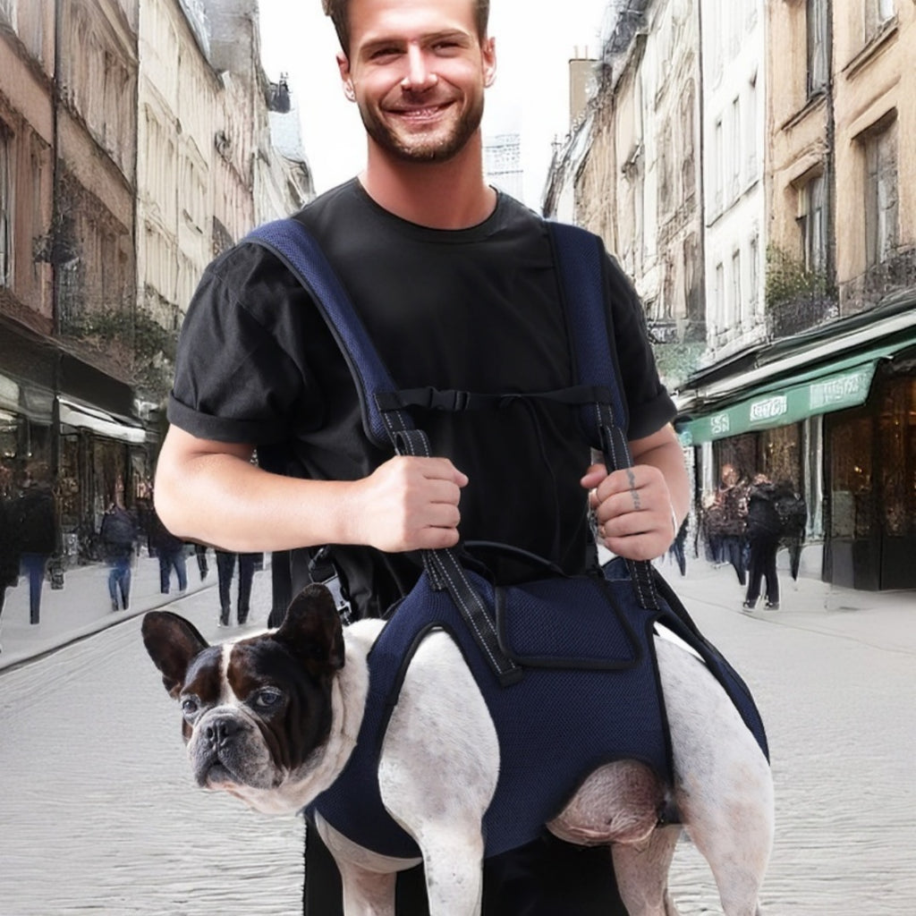 Portable Dog Carrier Crossbody Backpack
