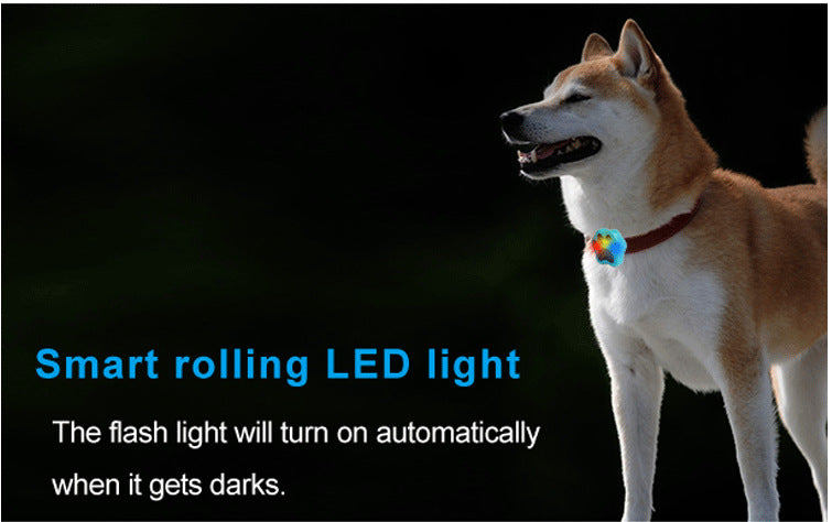 Dog Collar Anti-Loss GPS Locator