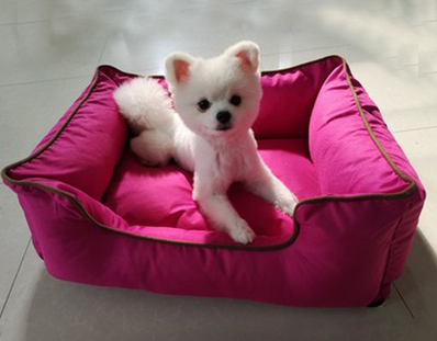 Candy-Colored Thin Bones Square Denim Nest Medium And Small Dog Pet Kennel