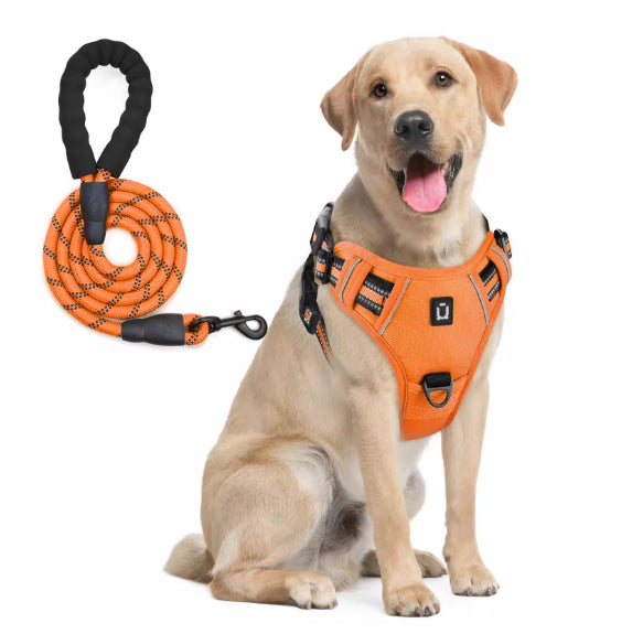 Dog Harness And Leash Combo With Escape Proof Design