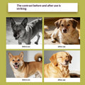 Pet Diffuser Kit for Dogs