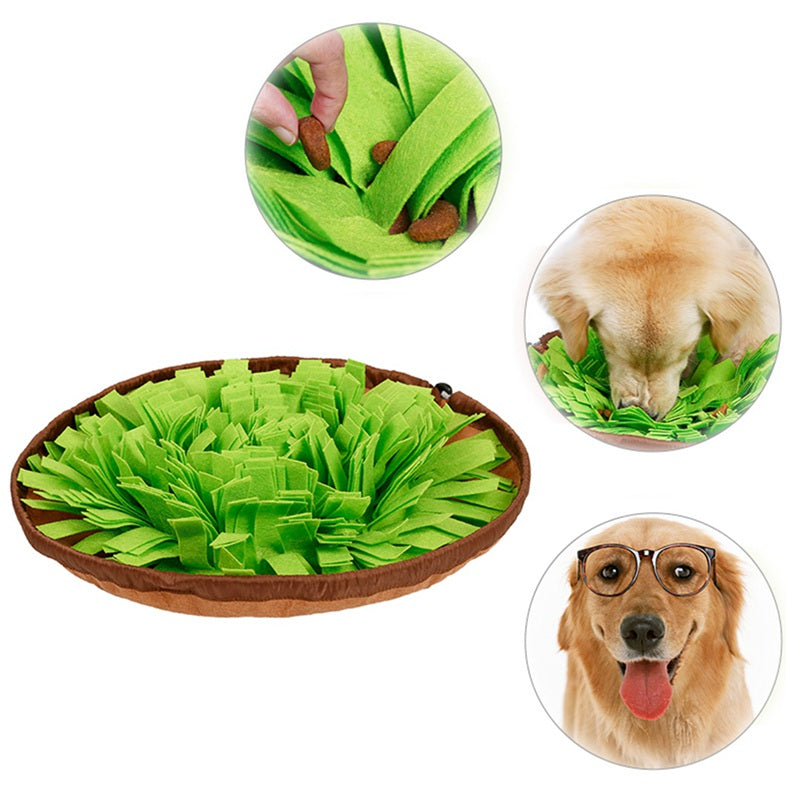Anti-Choking Tibetan Food Training Pet Sniffing Mat