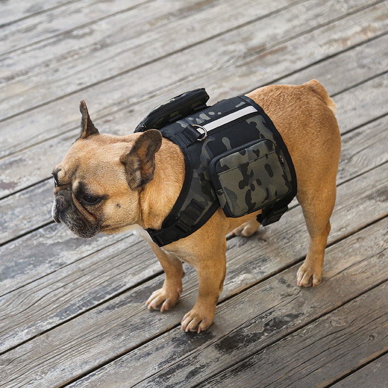 Go Out Portable Multi-Function Pet Backpack With Leash