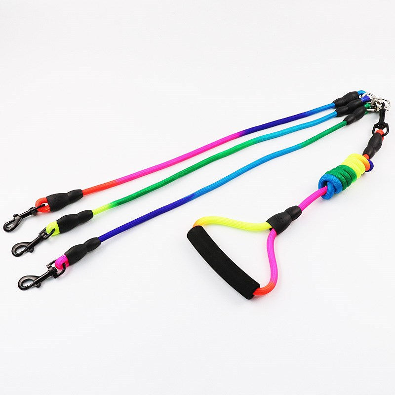 One Leash for Three Dogs
