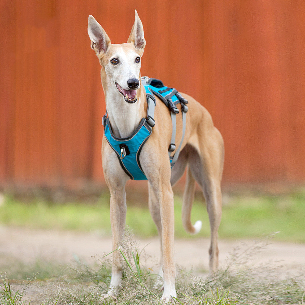 Reflective Breathable Dog Harness Vest