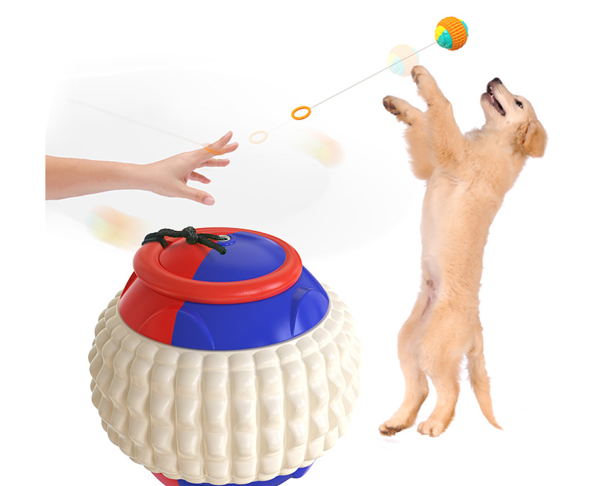 Draw Rope Dog Throwing Ball
