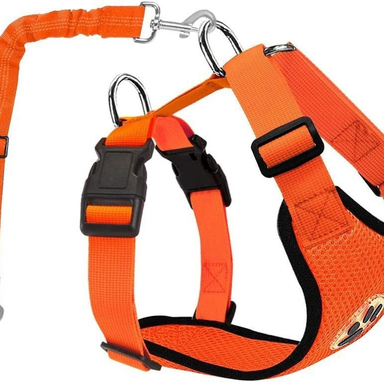 Reflective Dog Leash and Harness