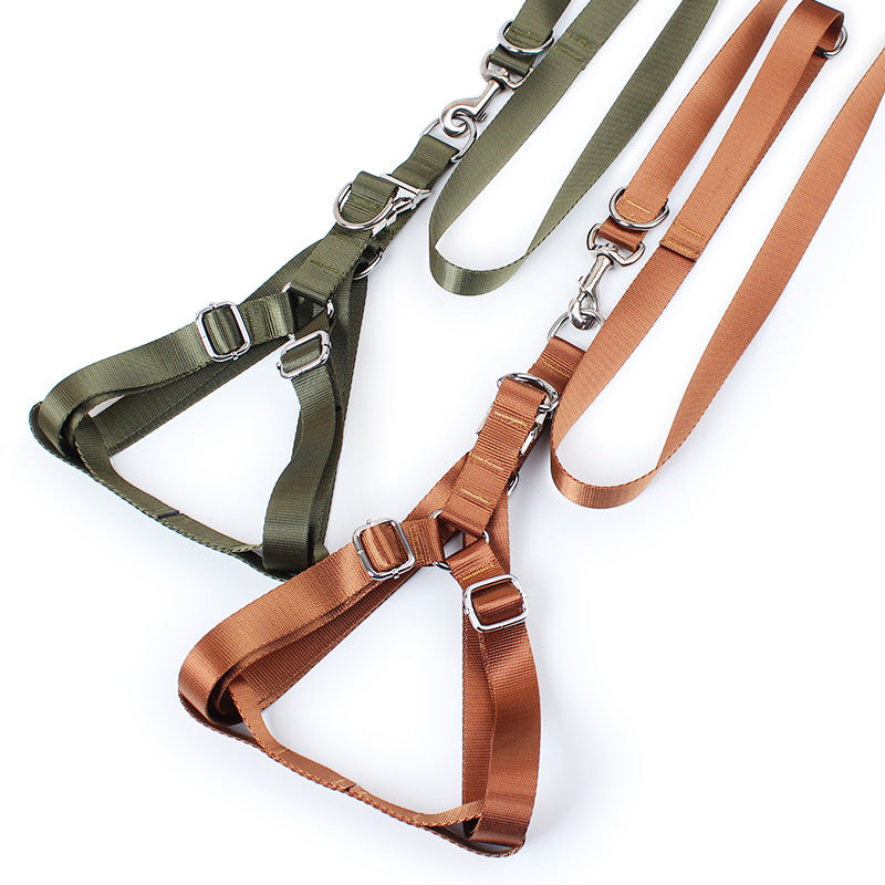 Golden Wool Edged Shepherd Husky With Big Dog Leash
