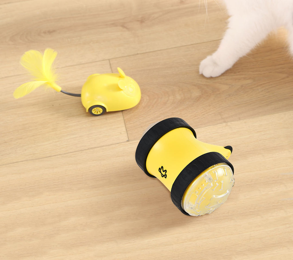 Remote Control Food Leaking Car