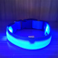 USB-Charging Glow-in-the-Dark Dog Collar