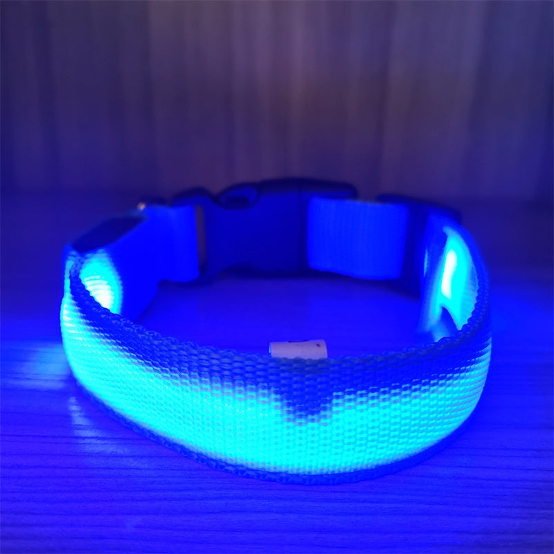 USB-Charging Glow-in-the-Dark Dog Collar