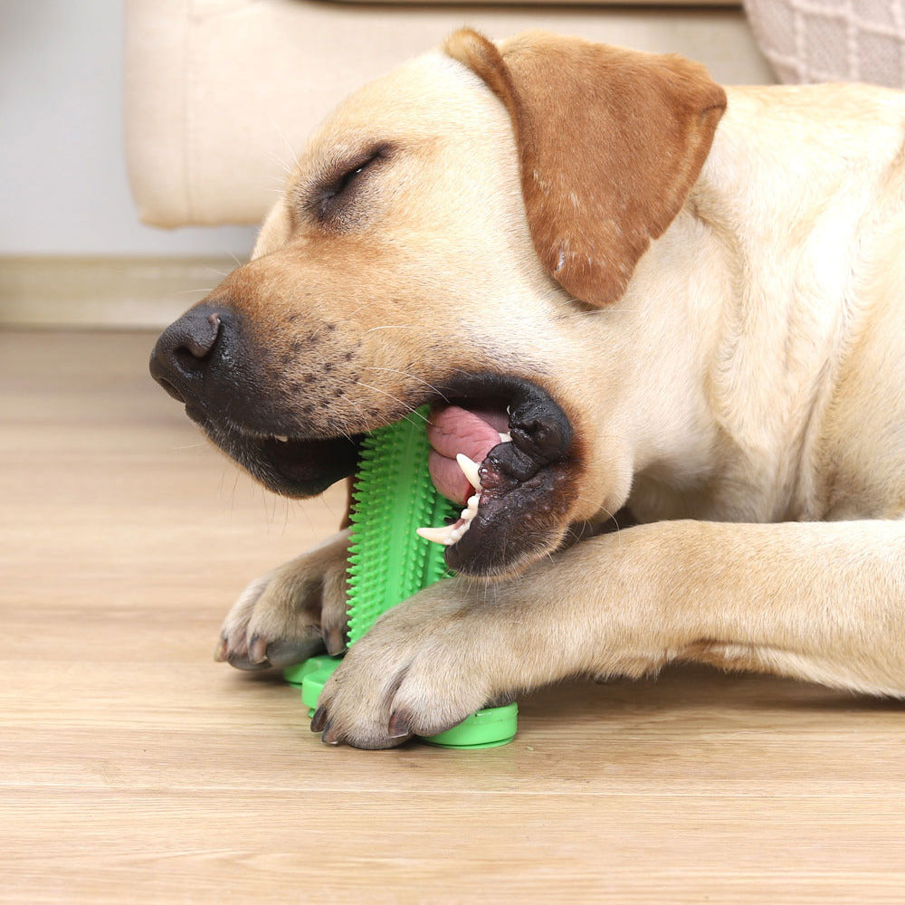 Suction Cup Dog Chew Toothbrush Toy