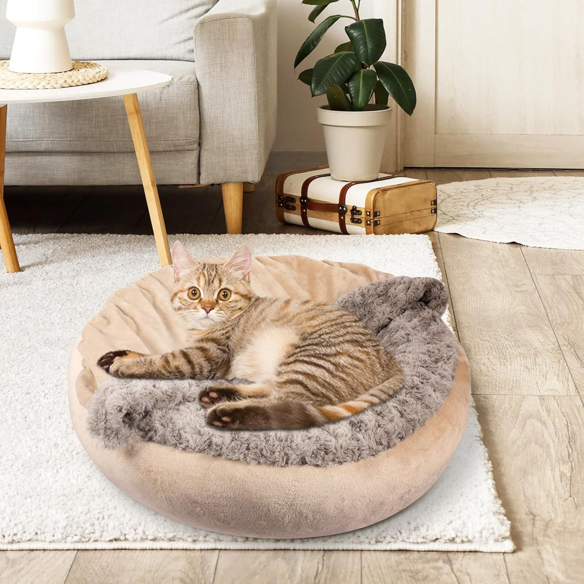 Warm Pet Bed Cushion With Blanket