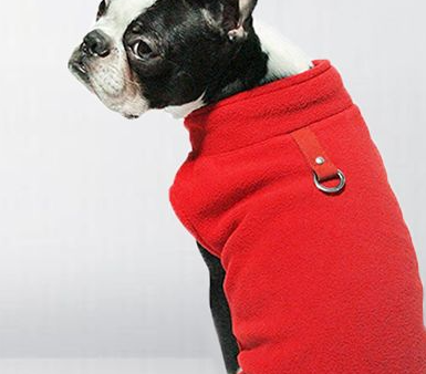 Pet Clothes Winter Polar Fleece Solid Color Fluffy Jacket Sweater Small And Medium-Sized Cross-Border Dog