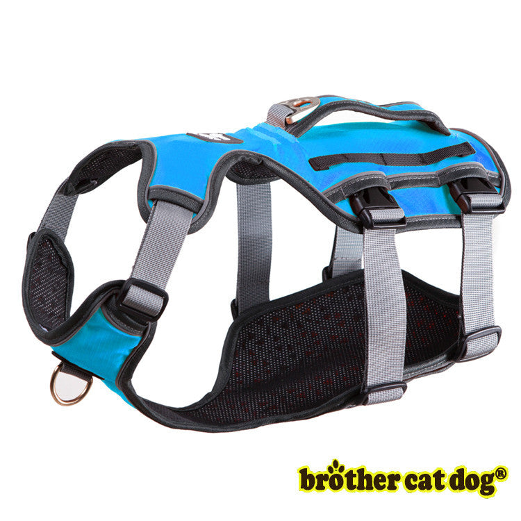 Dog Thoracolumbar Band