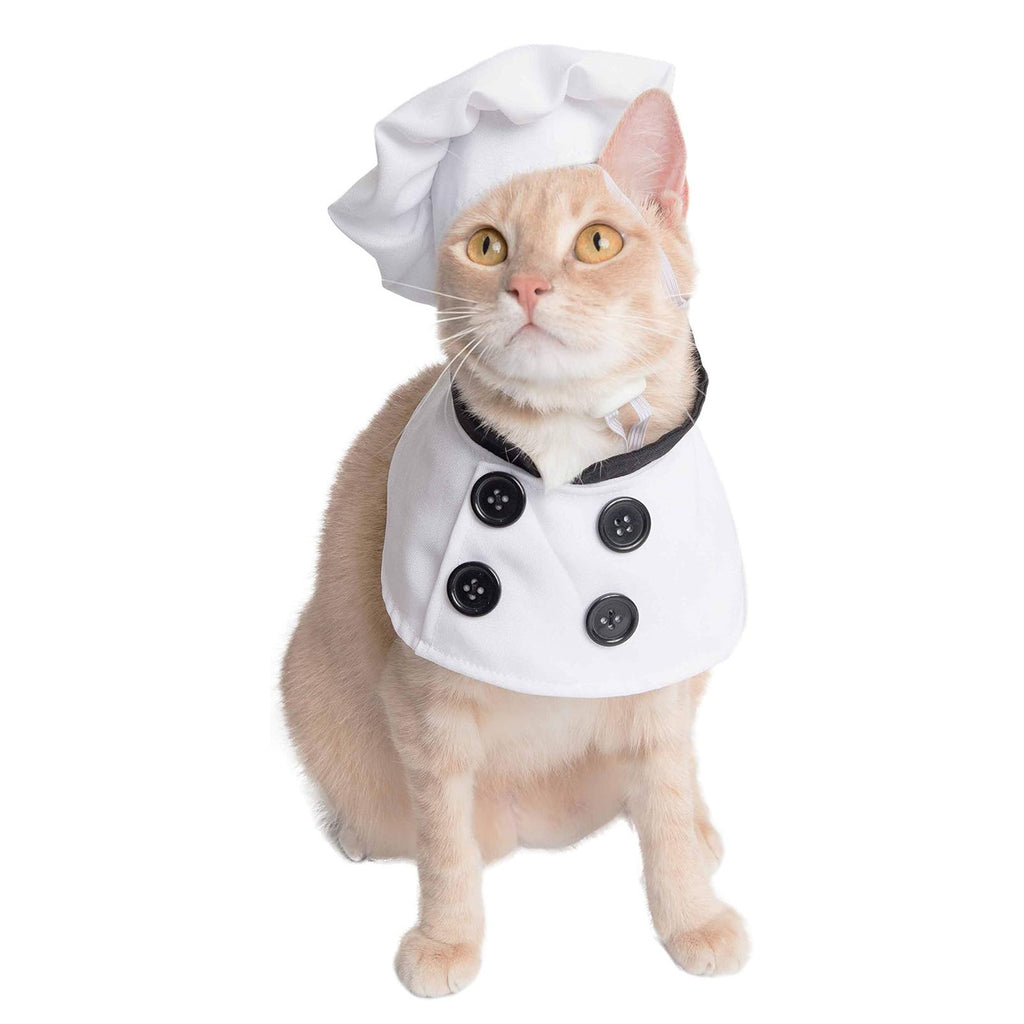 Personalized Pet Halloween Costume Set