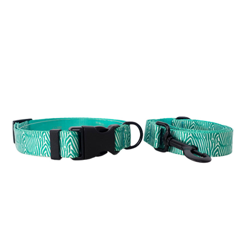 Fashionable Printed Nylon Dog Collar And Leash