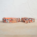 Self-Designed Soft And Comfortable Pet Dog Collar And Leash Set