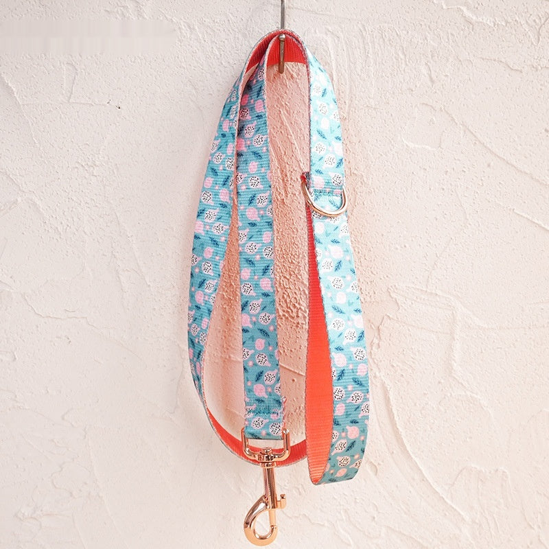 Durable Fruit-Print Nylon Pet Leash With Metal Buckle