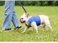 Dog Vest Type Hauling Rope