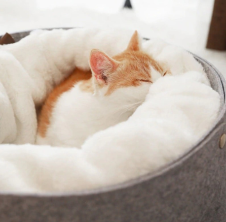 Detachable Pet Bed with Size Options