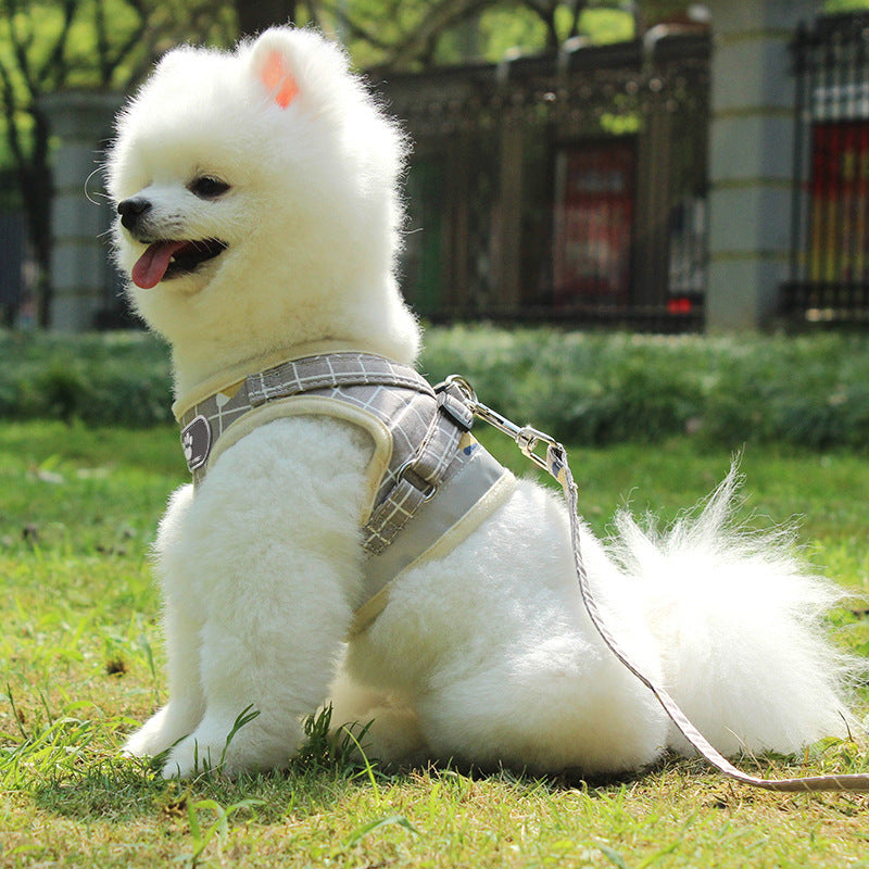 Reflective Dog Leash for Night Walks