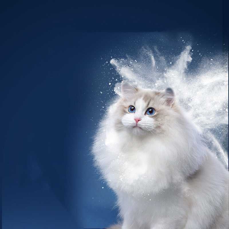 Dog Dry Cleaning Powder
