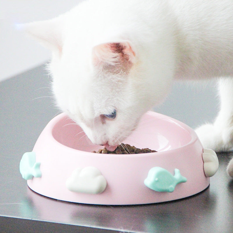 Anti-Skid Dog Bowl In Four Colors