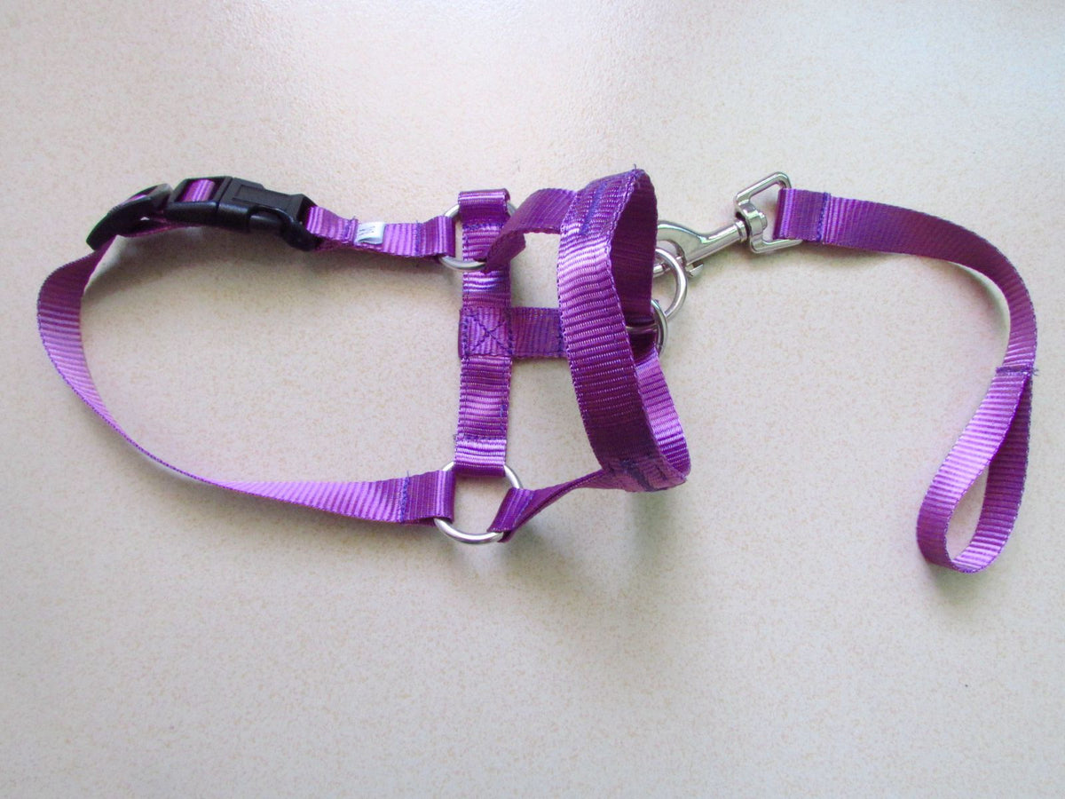Anti-Riot Rushing Dog Traction Rope For Dog Walking